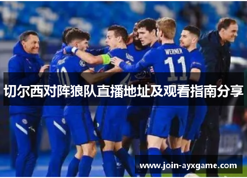 切尔西对阵狼队直播地址及观看指南分享